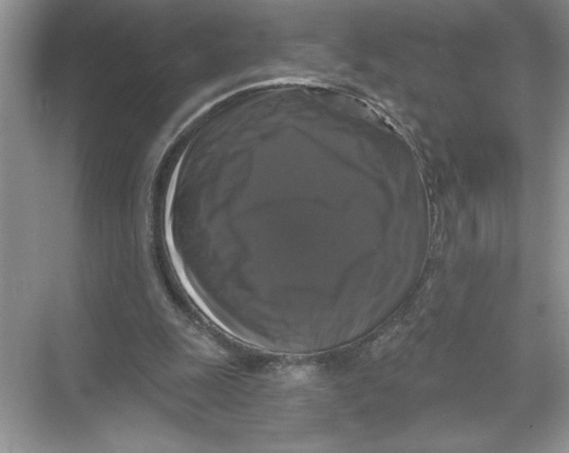 X0000067880247200605041841