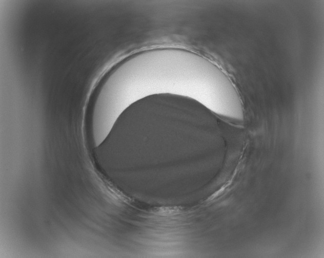 X0000067880248200605041841