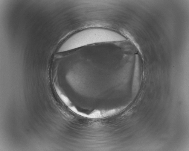 X0000067880249200605041841