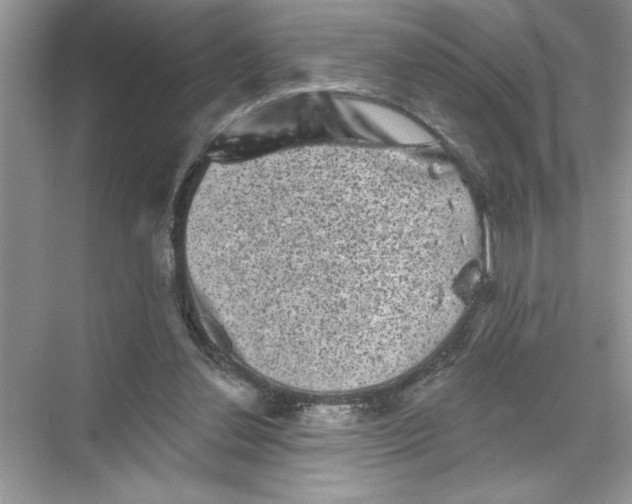 X0000067880252200605041841