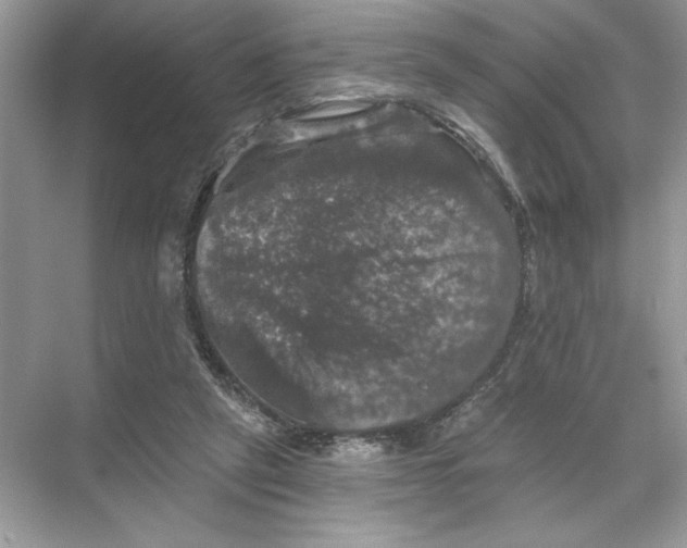 X0000067880257200605041841
