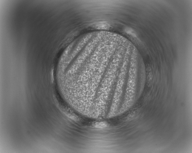 X0000067880262200605041841