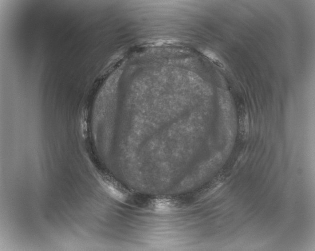 X0000067880264200605041841