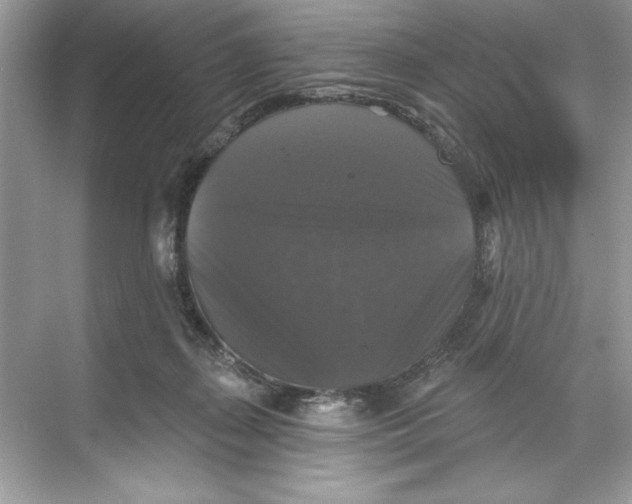 X0000067880267200605041841