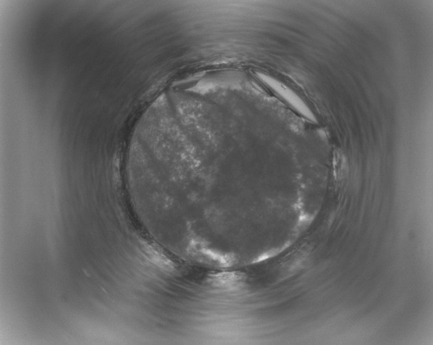 X0000067880269200605041841