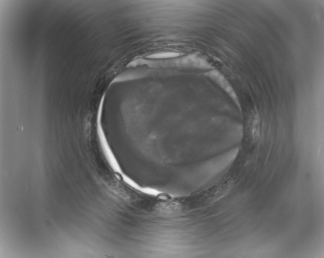 X0000067880271200605041841