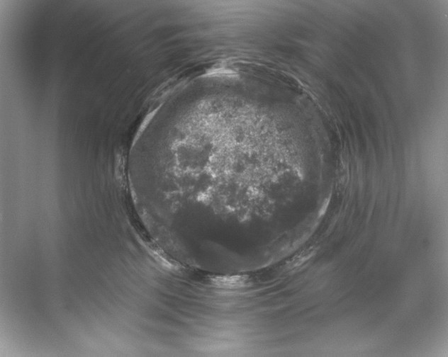 X0000067880281200605041842