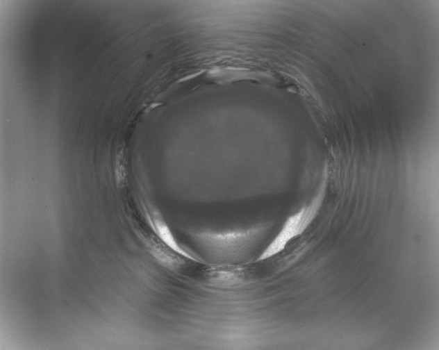 X0000067880285200605041842