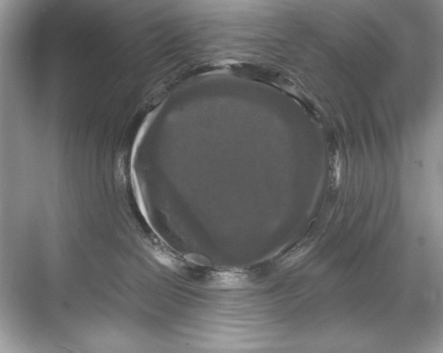 X0000067880286200605041842
