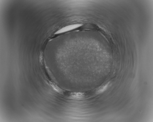 X0000067880288200605041842
