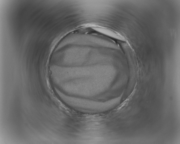 X0000067880289200605041841