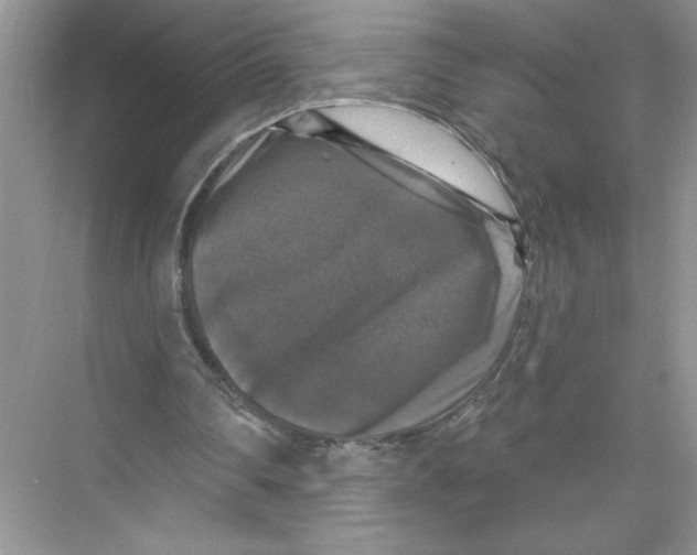 X0000067880290200605041841