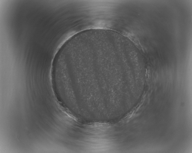 X0000067880292200605041841