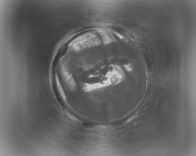 X0000067880294200605041841