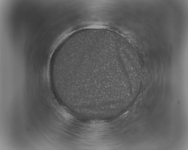 X0000067880296200605041841