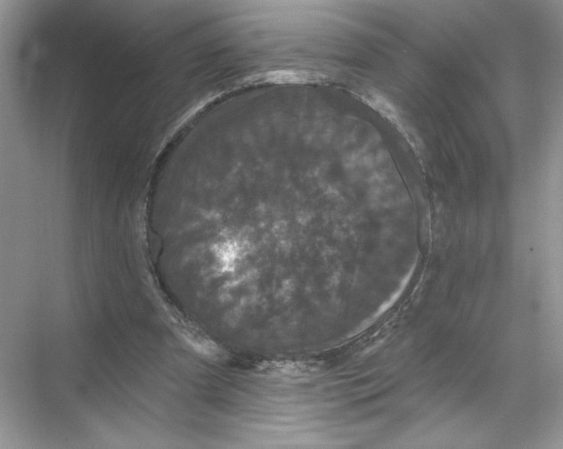 X0000067880297200605041841