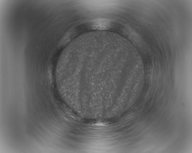 X0000067880312200605041841