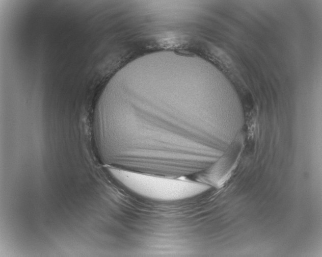 X0000067880317200605041840