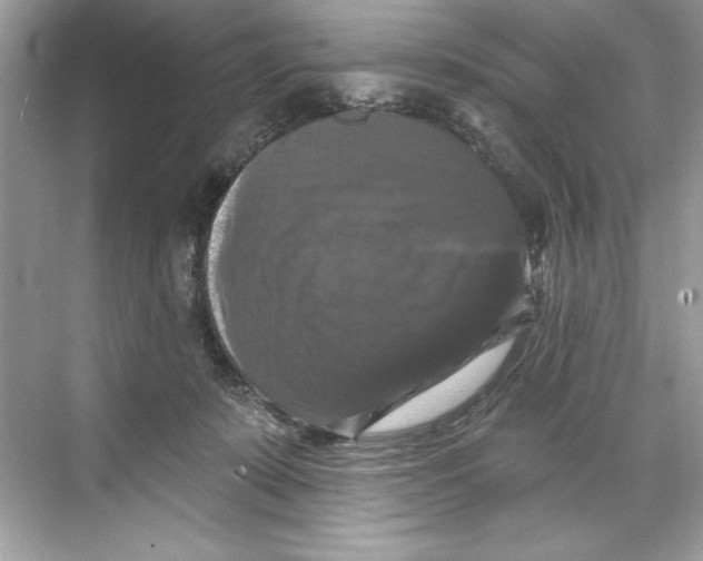X0000067880319200605041840