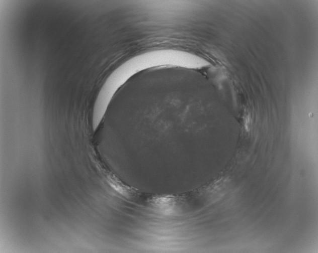 X0000067880325200605041840