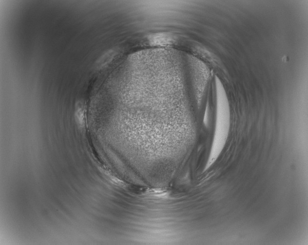 X0000067880329200605041840
