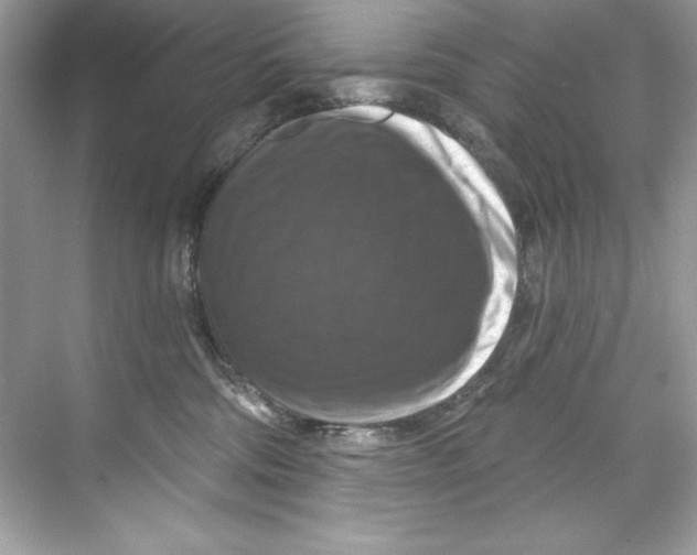 X0000067880330200605041840