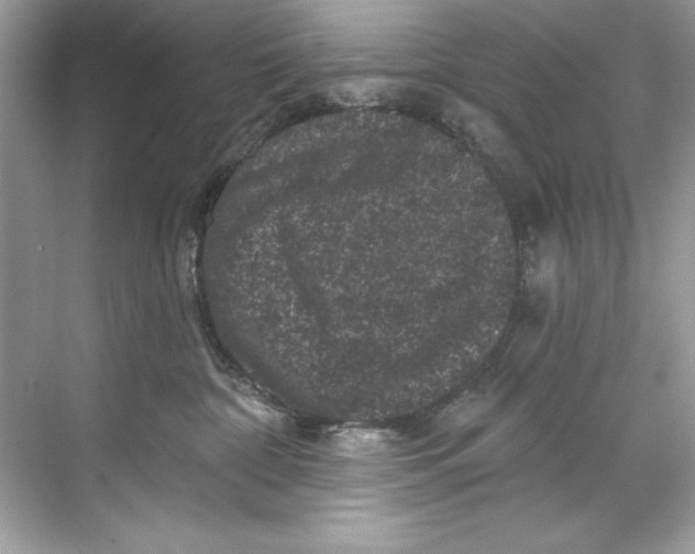 X0000067880332200605041840