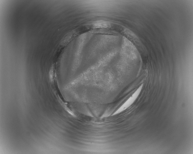 X0000067880333200605041840