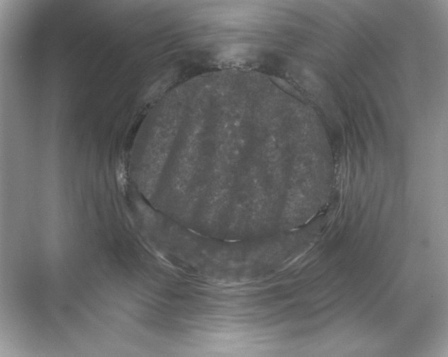 X0000067880335200605041840