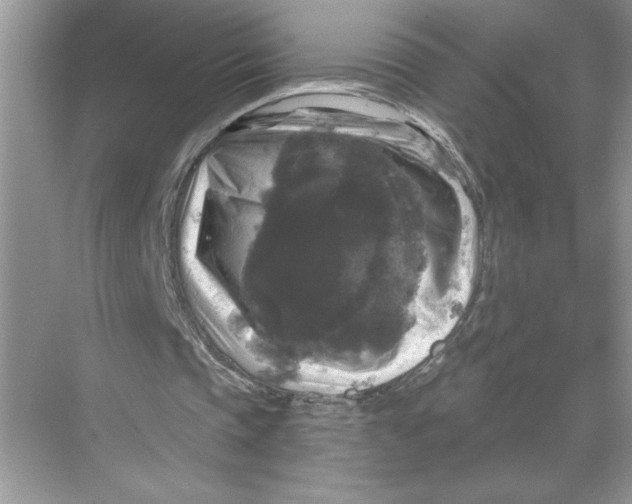 X0000067880337200605041839