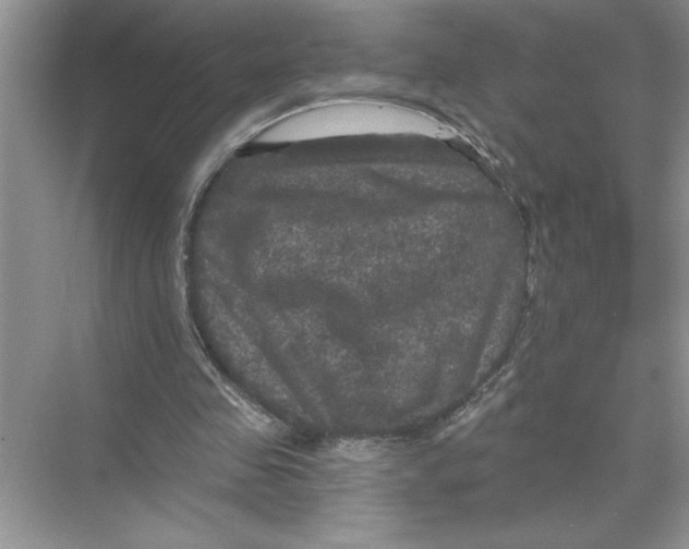 X0000067880341200605041839
