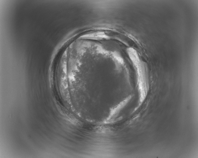 X0000067880343200605041839