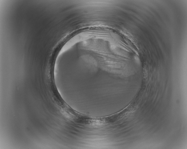 X0000067880347200605041840