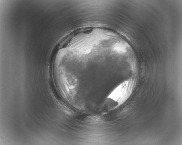 X0000067880351200605041840
