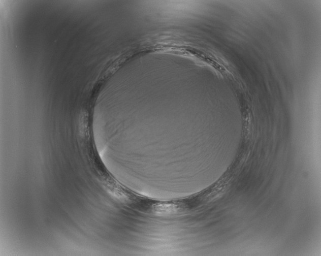 X0000067880361200605041840