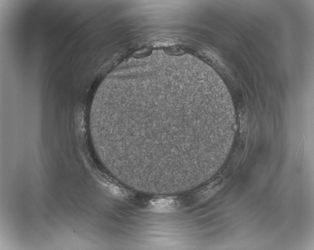 X0000067880362200605041840