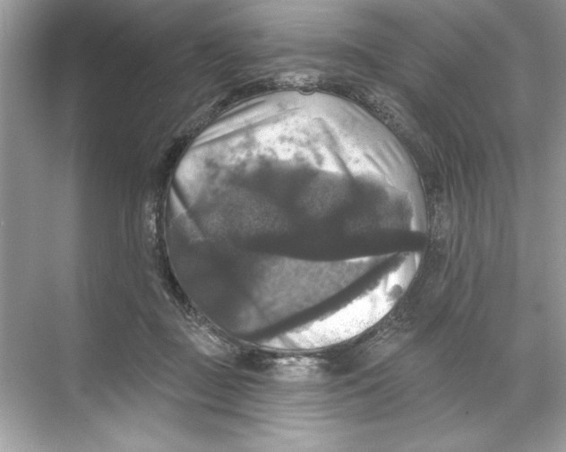 X0000067880363200605041840