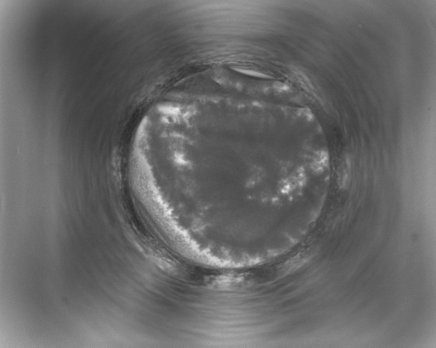 X0000067880366200605041840