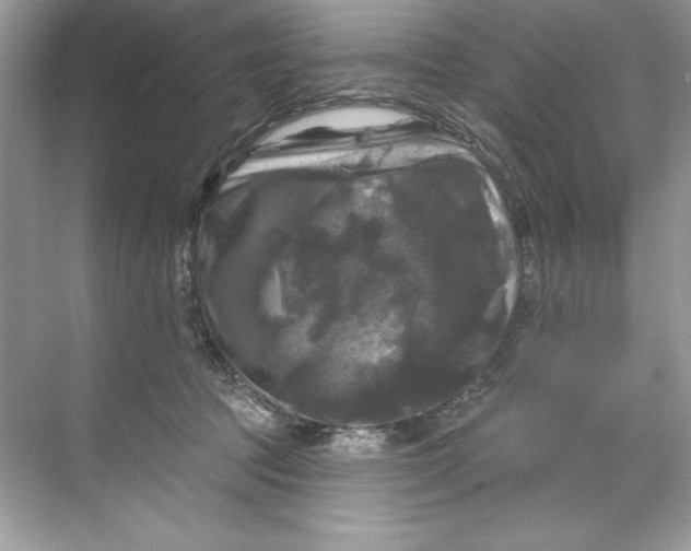 X0000067880369200605041840