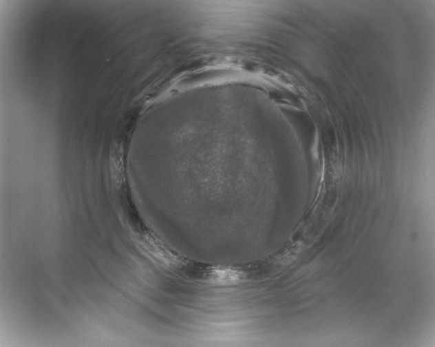 X0000067880376200605041840