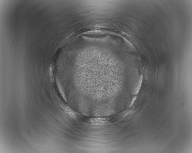 X0000067880378200605041840