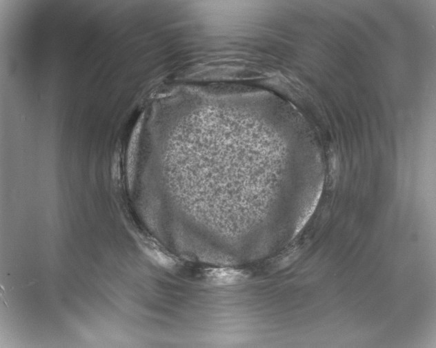X0000067880379200605041840