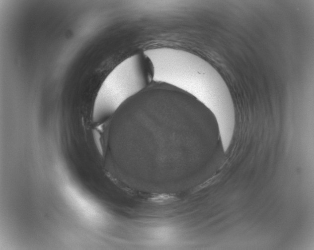 X0000067880382200605041840
