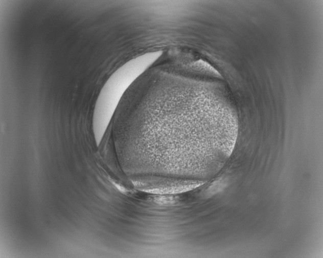 X0000067880384200605041840