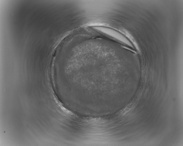 X0000067880385200605041839