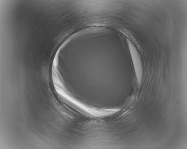X0000067880386200605041839