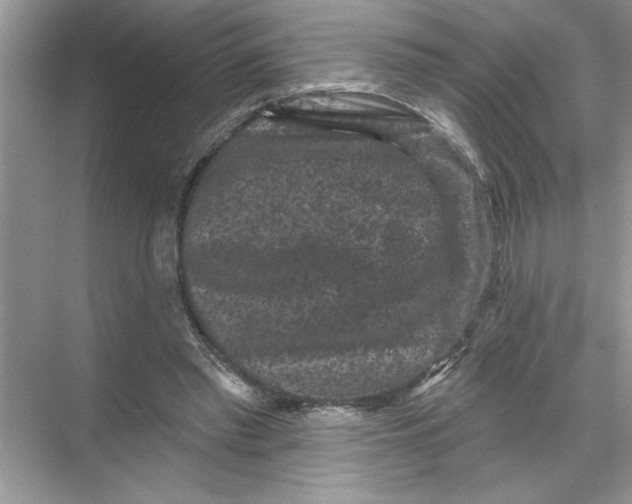 X0000067880397200605041839