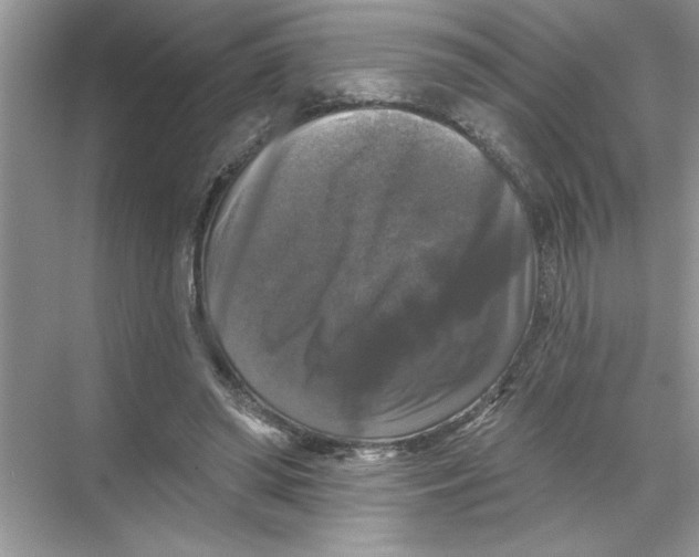 X0000067880398200605041839