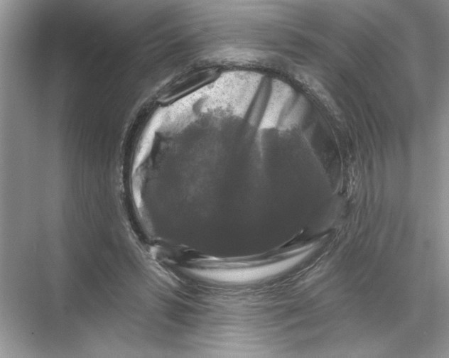 X0000067880399200605041839