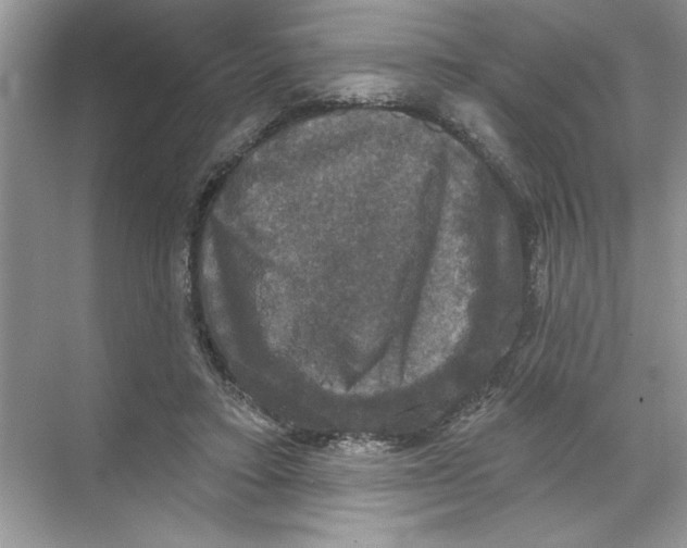 X0000067880403200605041839